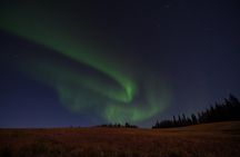Northern Lights Viewing at Murphy Dome