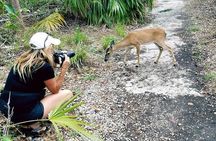 Full-Day Tour of Florida Keys Including Aquarium Encounters from Key West