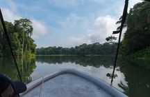 Panama Canal Monkey & Wildlife Boat Safari