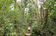 Kinabalu Park and Poring Hot Spring