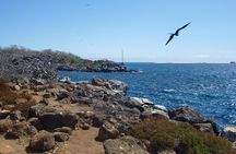 North Seymour Day Trip Galapagos