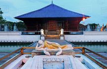 Colombo Walking Tour With Ayurveda One Hour Body Massage