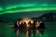 Northern Lights Minibus Chase from Tromso