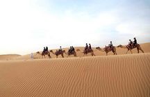 Dubai Morning Red Dunes with Camel Safari & Sandsurf