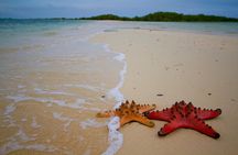 Puerto Princesa: Honda Bay Island Hopping with Buffet Lunch