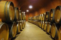 Napa and Sonoma-8-hr Private-Wine Tour from San Francisco XL SUV