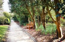 Middleton Place Admission with Self Guided Tour and Lunch