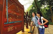 Amazing Taman Negara Day Trip from Kuala Lumpur Including Lunch