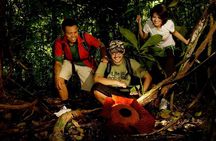Amazing Taman Negara Day Trip from Kuala Lumpur Including Lunch