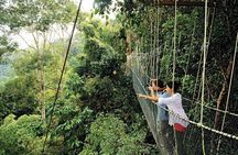 Amazing Taman Negara Day Trip from Kuala Lumpur Including Lunch