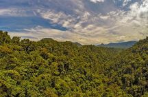 MINDO CLOUD FOREST: Nature & Adventure - Flexible Private Day Tour