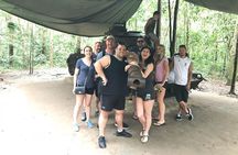 Half-Day Small-Group Cu Chi Tunnels Tour from Ho Chi Minh City