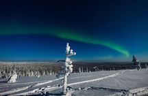 Hunting Northern Lights with Husky