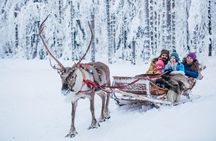 Rovaniemi Santa Claus Village Husky Reindeer Farm Arctic Museum