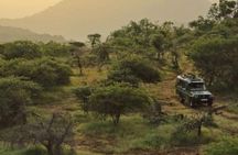 Best of Kenya Safari 