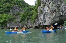From Hanoi: Halong Day Cruise Highlight With 3*/4*/ 5* Options 