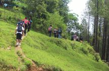 Kathmandu: Namobuddha Monastery Hiking Day Tour