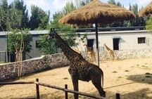 Private Full-Day Beijing Wildlife Park Tour