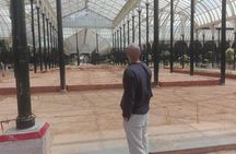  Private Full-Day Bangalore City Tour
