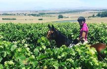 Half Day Horseback Wine Tour