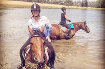 Half Day Horseback Wine Tour