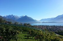 Domaso: Wine Tasting at the Winery on Como Lake