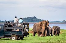 Private Jeep Safari To one of a Best National Park