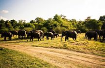 Private Jeep Safari To one of a Best National Park