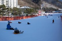 [Private Tour] Nami Island & Snow Viewing and Snow sled (More Members Less Cost)