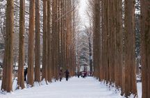 [Private Tour] Nami Island & Snow Viewing and Snow sled (More Members Less Cost)