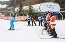 Private 1:1 Ski Lesson near Seoul, South Korea