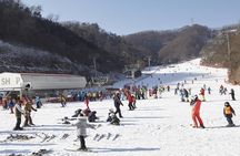 Private 1:1 Ski Lesson near Seoul, South Korea