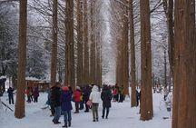  Private Tour Nami Island with Petite France 'and/or' The Garden of Morning Calm