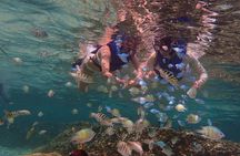 Guam's 5 Star Guided Snorkeling Tour! 