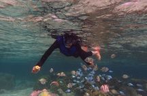 Guam's 5 Star Guided Snorkeling Tour! 