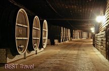 GROUP - Milestii Mici Winery with Tasting