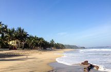 Sayulita And San Pancho Beachs Tour