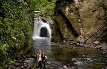 Mystical Mindo Marvels: A Daylong Dive into Nature's Dreamland!