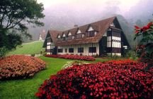 Cameron Highlands Tour on Private Basis
