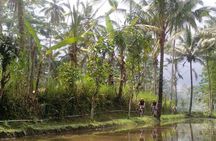 Mount Batur to Ubud – Light Off Road Cycling Adventure