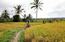 Mount Batur to Ubud – Light Off Road Cycling Adventure