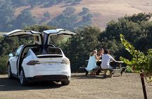 Private Wine Tasting Tour from Santa Barbara