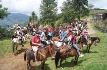 Coffee Tour In Horse Riding and Lunch In Medellin