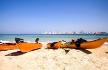 Punta Arena Excursion Kayak