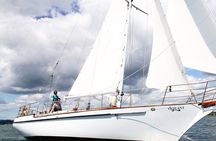 Full-Day Bay of Islands Tour by Vigilant Yacht Charters
