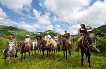 Best Waterfall Rappelling+ Zipline+Tractor Jungle Tour and Rainforest Horseback 