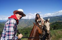 Coffee Tour In Horse Riding and Lunch In Medellin