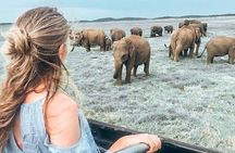 Kandy - Minneriya National park & Sigiriya Rock Fortress (Tours & Entrance fees)