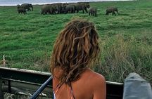 Kandy - Minneriya National park & Sigiriya Rock Fortress (Tours & Entrance fees)