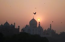 Visit Mehtab Bagh and Avoid Hefty entry fee for Taj Mahal